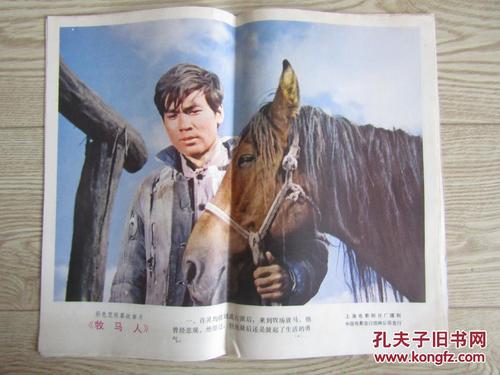 台湾驾驶证是什么样的